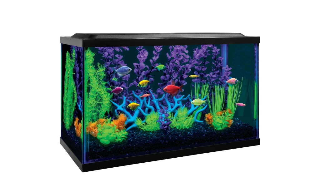 Glofish ten Gallon Fish Tank